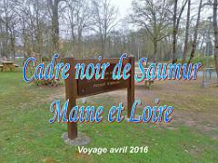 149 CADRE NOIR DE SAUMUR MAINE ET LOIRE 2016_000001